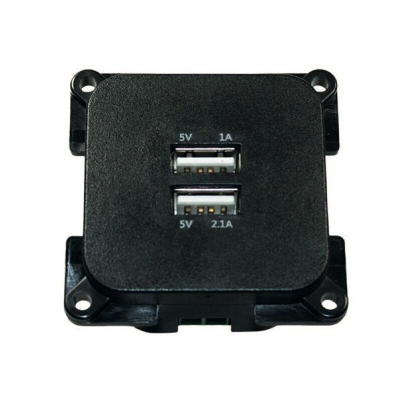 Presa Usb 5V Doppio Ingresso C-Line Nero-Silver Prese E Interruttori Solandata